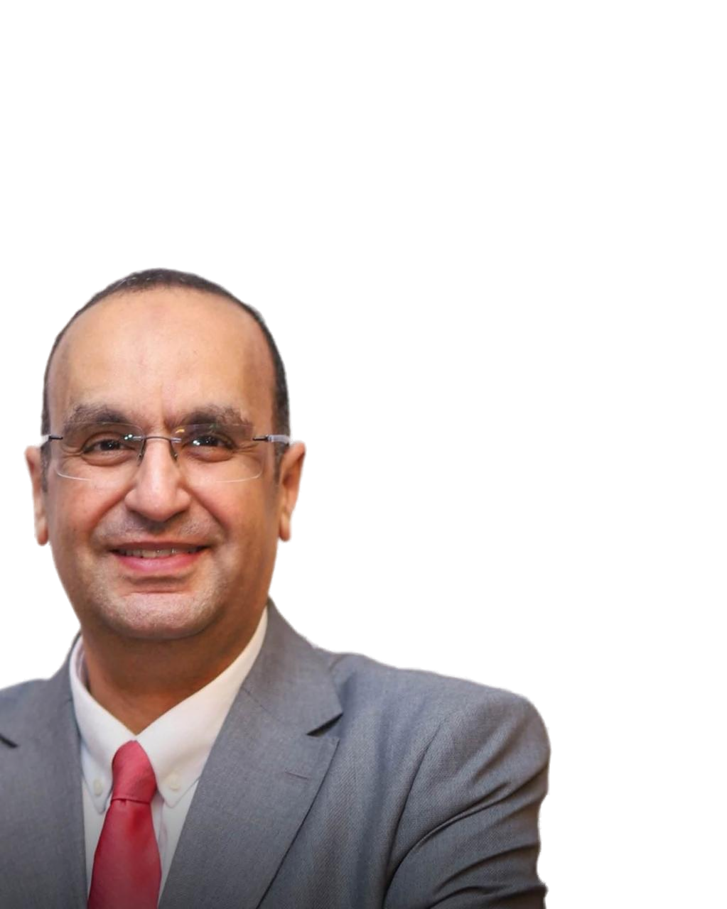 Prof. Ahmed Halim Ayoub
